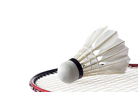 精神的传承 精神的传承